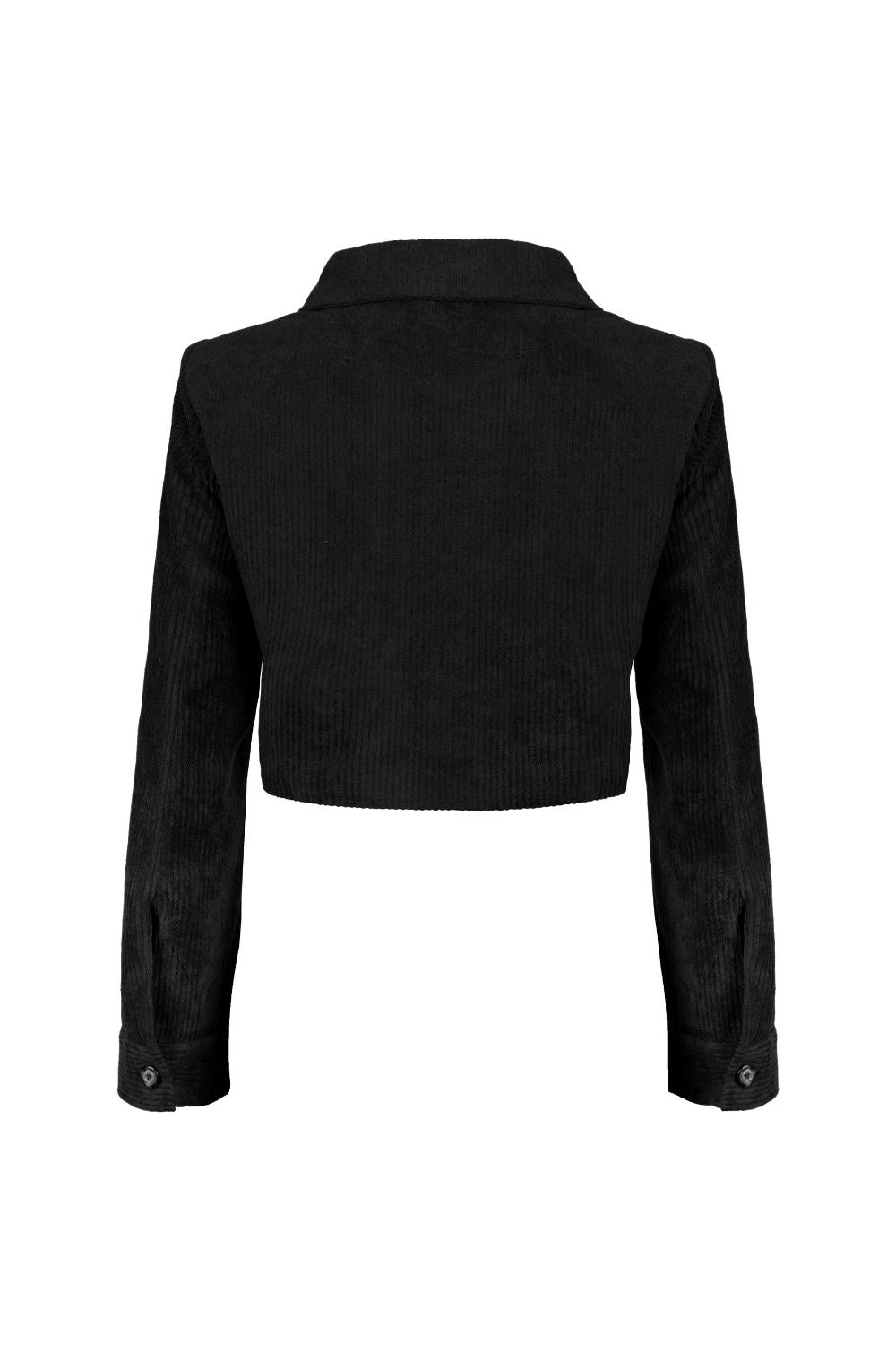 Kadife Crop Ceket Siyah